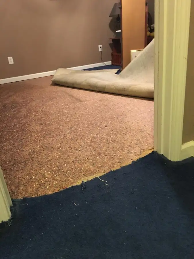 Carpet pad removal revealing water damage during Drying & Dehumidification in Black Forest