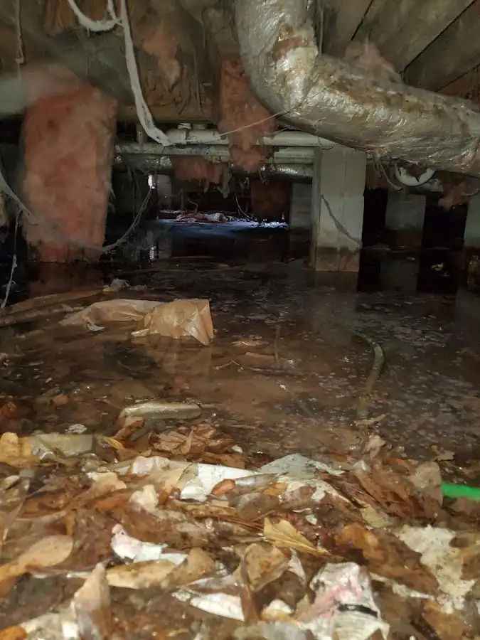 Crawl space flood assessment for Leak Detection & Repair in Black Forest