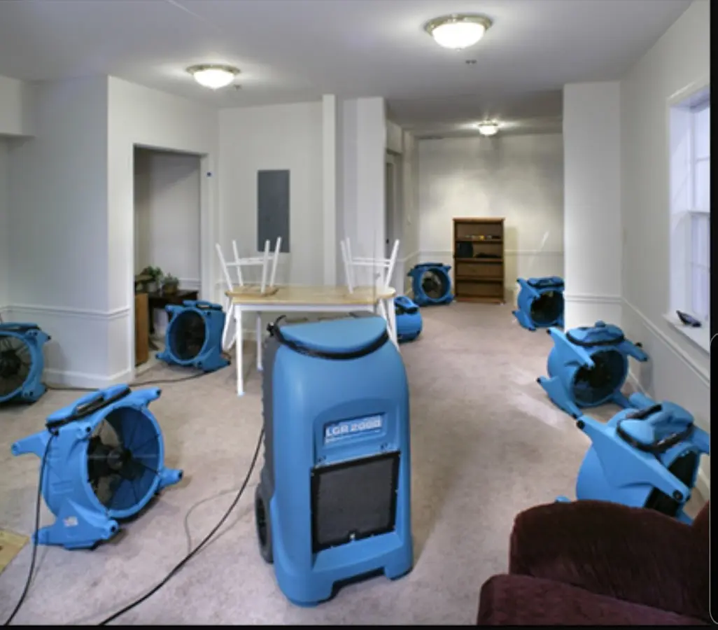 Air movers and dehumidifier setup for Water Extraction & Removal in Black Forest