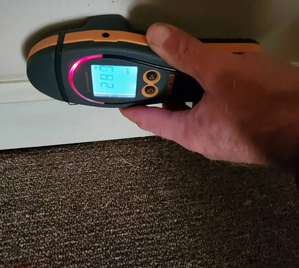 Moisture detection at baseboard during Storm Damage Restoration in Black Forest