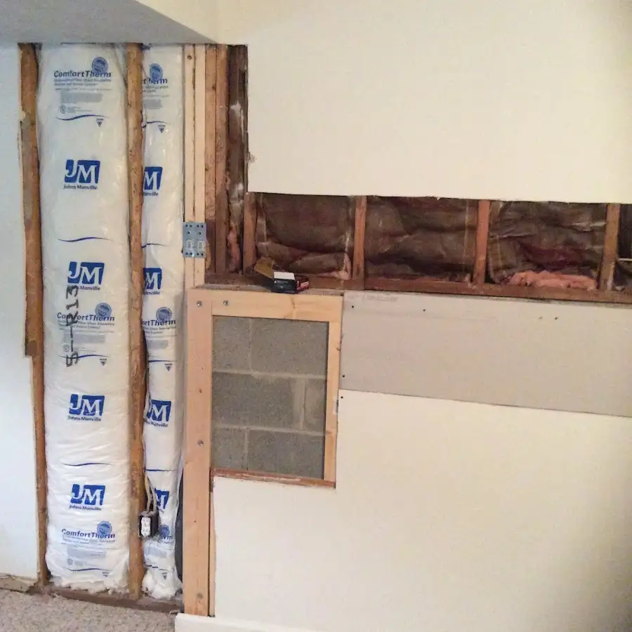 Wall insulation replacement during Odor Removal & Deodorization in Black Forest